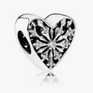 Heart of winter Charm